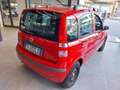 Fiat Panda 1.2 Dynamic (Garanzia 12 mesi) Rosso - thumbnail 8