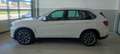 BMW X5 X5 xdrive 25d 231cv auto Bianco - thumbnail 4