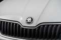 Skoda Fabia 1.0 Active | Airco | Elek | Apk 26-07-2026 Blanc - thumbnail 24