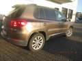 Volkswagen Tiguan Sport Braun - thumbnail 3