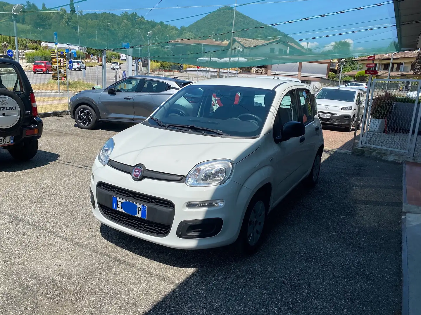 Fiat Panda 1.2 Easy 69cv -NEOPATENTATI- Bianco - 2