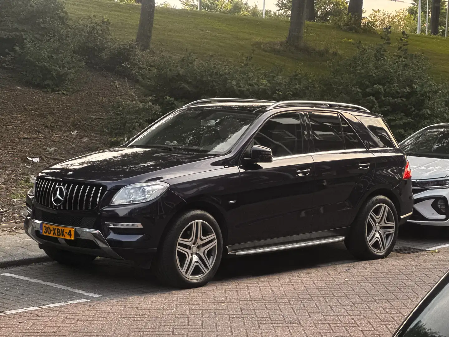 Mercedes-Benz ML 250 BlueTEC 4MATIC 7G-TRONIC - 1