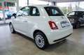 Fiat 500 1.0 Mild-Hybrid CarPlay Tempomat Alu 1.Hand Weiß - thumbnail 5