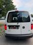 Volkswagen Caddy Kastenwagen 2,0 TDI - thumbnail 16