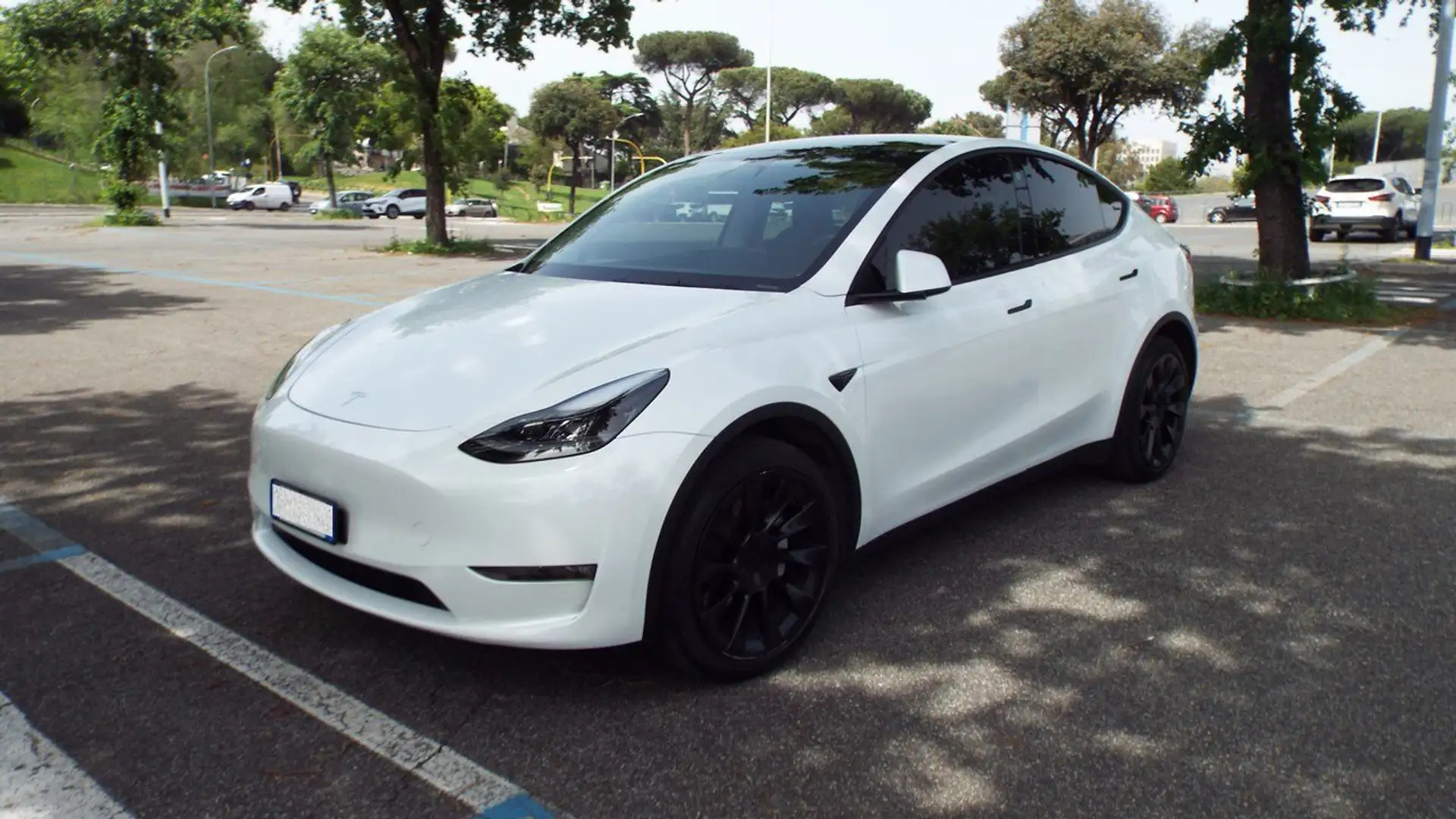 Tesla Model Y Model Y Long Range Dual Motor awd Bianco - 2