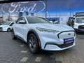 Ford Mustang Mach-E Blanc - thumbnail 1