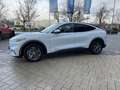 Ford Mustang Mach-E Blanc - thumbnail 13