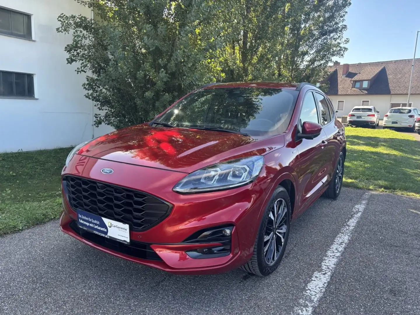 Ford Kuga ST-LINE X 2.0EcoBlue HYBRID 150PS M6 Rot - 1
