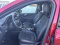 Ford Kuga ST-LINE X 2.0EcoBlue HYBRID 150PS M6 Rot - thumbnail 9