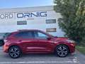 Ford Kuga ST-LINE X 2.0EcoBlue HYBRID 150PS M6 Rot - thumbnail 6