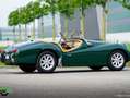 Triumph TR3 TR3A Verde - thumbnail 18