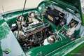 Triumph TR3 TR3A Verde - thumbnail 13