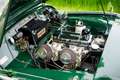 Triumph TR3 TR3A Verde - thumbnail 15