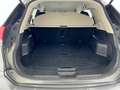 Nissan X-Trail X-Trail 1.6 dCi 2WD N-Connecta Grigio - thumbnail 20