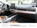 Audi A4 allroad A4 allroad 40 TDI quattro Pano LED S-tronic Navi Blau - thumbnail 12