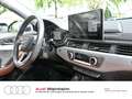 Audi A4 allroad A4 allroad 40 TDI quattro Pano LED S-tronic Navi Blau - thumbnail 13