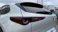 Mazda CX-30 2024 2.0 e-SKYACTIV-G MHEV 150CV 6MT FWD HOMURA Blanc - thumbnail 19