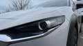 Mazda CX-30 2024 2.0 e-SKYACTIV-G MHEV 150CV 6MT FWD HOMURA Weiß - thumbnail 18
