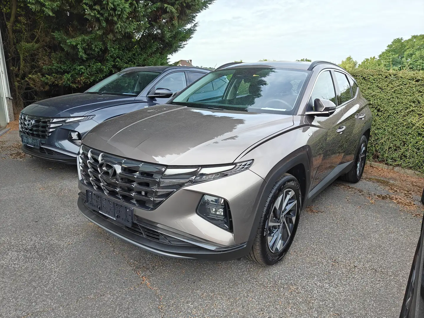 Hyundai TUCSON TUCSON 1.6 T-GDi 48V-Hybrid 2WD DCT Trend Bronze - 1