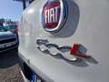 Fiat 500L 500L 1.3 Multijet 95 CV Business Weiß - thumbnail 15