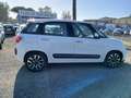 Fiat 500L 500L 1.3 Multijet 95 CV Business Weiß - thumbnail 4