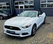 Ford Mustang Convertible Sport, Automatik, Rückfahrkamera Wit - thumbnail 12