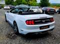 Ford Mustang Convertible Sport, Automatik, Rückfahrkamera Wit - thumbnail 7