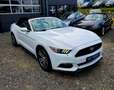 Ford Mustang Convertible Sport, Automatik, Rückfahrkamera Wit - thumbnail 13