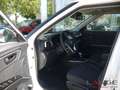 KGM Tivoli 1.5 T-GDi 120kW Nomad Navi SHZ Temp Tel.-Vorb. PDC Weiß - thumbnail 10