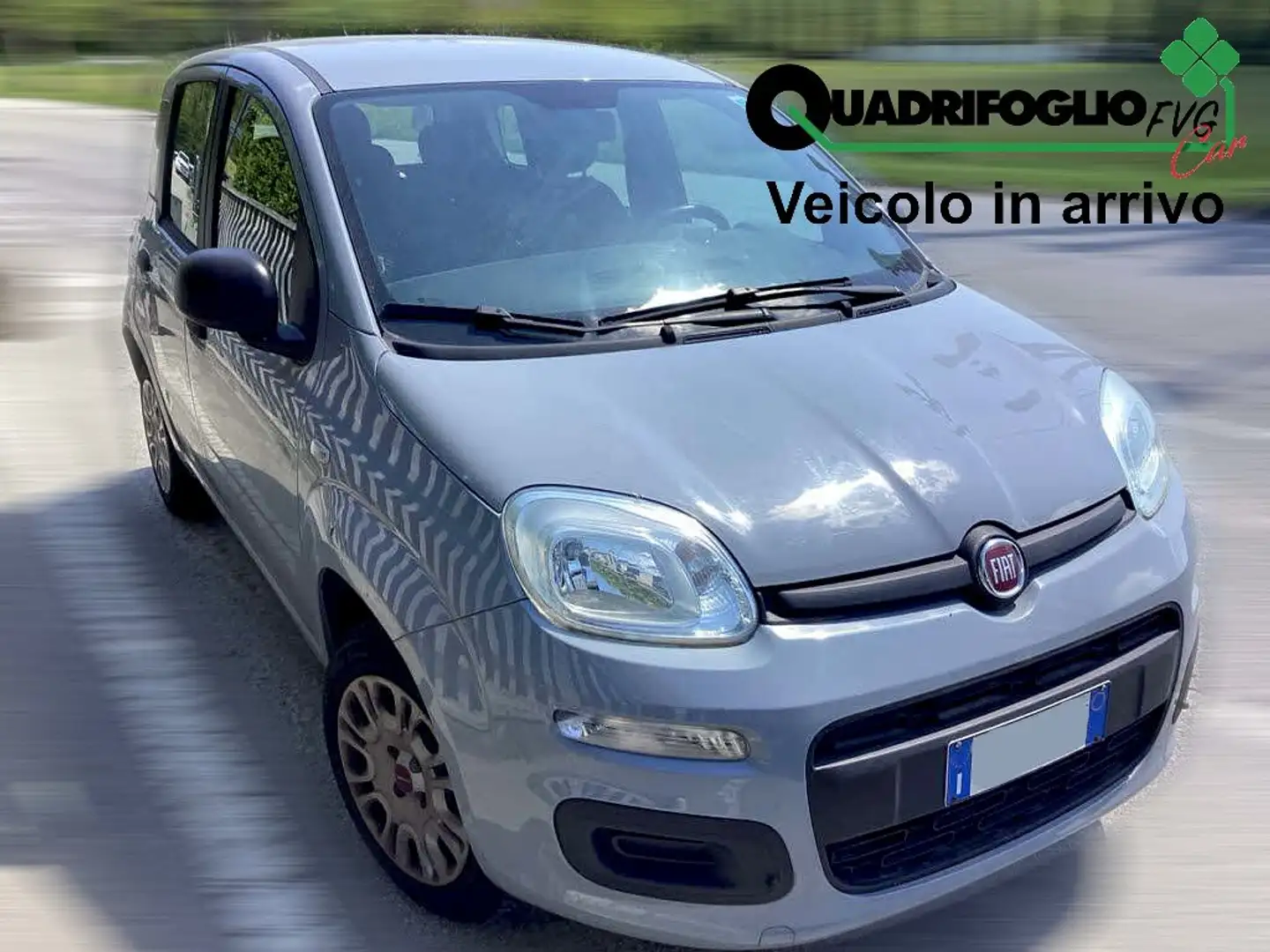 Fiat Panda Panda 1.2 Easy 69cv Gris - 1