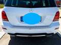 Mercedes-Benz GLK 220 CDI 4MATIC AMG Pano Ahk Totwi SpurWarner Weiß - thumbnail 5