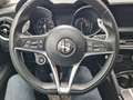 Alfa Romeo Stelvio Stelvio 2.2 t Sport Tech Q4 190cv auto Weiß - thumbnail 14