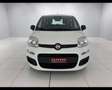 Fiat Panda 1.0 FireFly Hybrid Bianco - thumbnail 10