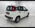 Fiat Panda 1.0 FireFly Hybrid Bianco - thumbnail 13