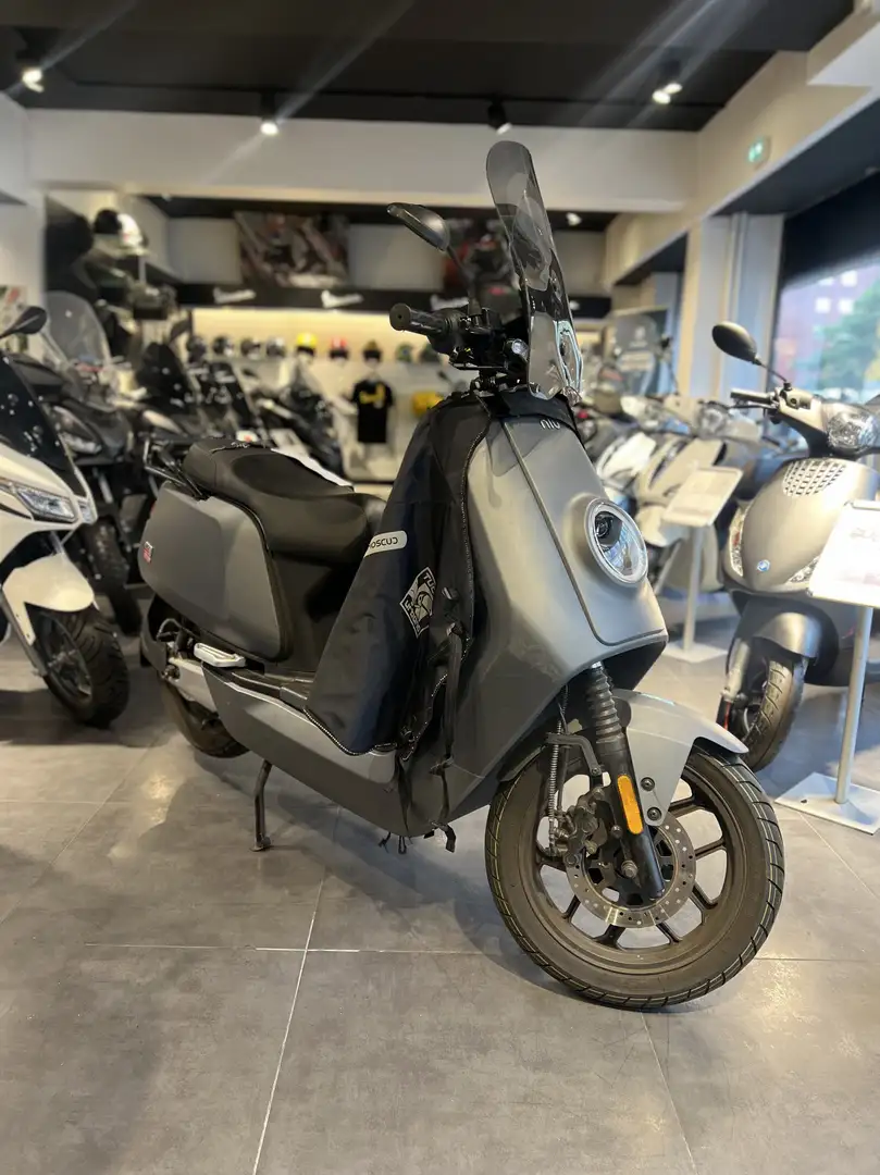Niu Grigio - 1