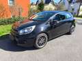 Kia Rio Rio 1,2 CVVT Motion Motion Schwarz - thumbnail 11