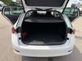 Skoda Octavia Ambition 2,0l TDI*Pickerl NEU*AHK*Sitzh*Kamera* Weiß - thumbnail 29
