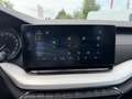 Skoda Octavia Ambition 2,0l TDI*Pickerl NEU*AHK*Sitzh*Kamera* Weiß - thumbnail 23
