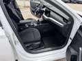 Skoda Octavia Ambition 2,0l TDI*Pickerl NEU*AHK*Sitzh*Kamera* Weiß - thumbnail 25