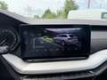 Skoda Octavia Ambition 2,0l TDI*Pickerl NEU*AHK*Sitzh*Kamera* Weiß - thumbnail 19