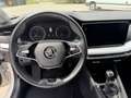 Skoda Octavia Ambition 2,0l TDI*Pickerl NEU*AHK*Sitzh*Kamera* Weiß - thumbnail 10