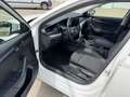 Skoda Octavia Ambition 2,0l TDI*Pickerl NEU*AHK*Sitzh*Kamera* Weiß - thumbnail 6