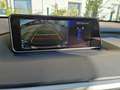 Lexus RX 450h (hybrid) F Sport - thumbnail 14