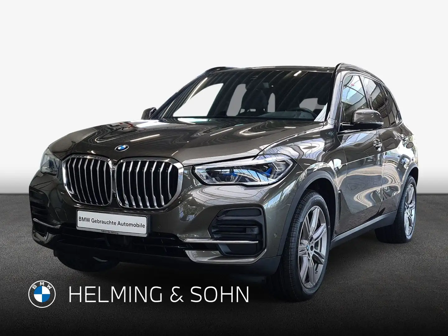 BMW X5 xDrive30d Head-Up HiFi DAB Laser Pano Standhz. uvm Grün - 1