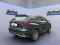 Lexus NX 300 h Amazing Edition*LED*SHZ*PDC* Schwarz - thumbnail 9