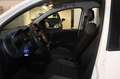 Fiat Panda Panda III 1.2 Lounge S Bianco - thumbnail 11