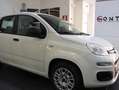 Fiat Panda Panda III 1.2 Lounge S Bianco - thumbnail 3