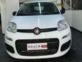 Fiat Panda Panda III 1.2 Lounge S Bianco - thumbnail 1