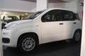 Fiat Panda Panda III 1.2 Lounge S Bianco - thumbnail 5