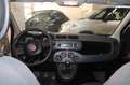 Fiat Panda Panda III 1.2 Lounge S Bianco - thumbnail 10